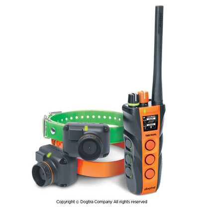 Dual 2 Train & Beep 2-Dog System