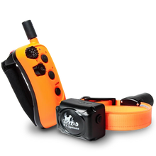 RAPT1450 Upland Beeper E-Collar