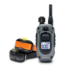 282X Remote Dog Trainer 2-Dog Unit