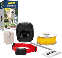 Stubborn Dog Radio Fence