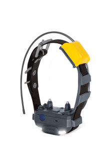 Pathfinder 2 Mini Additional Collar (Path2)