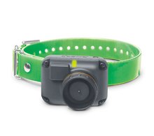 Train and Beep Extra Collar Receiver