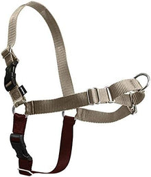 Easy Walk Harness