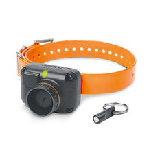STB Beeper Collar