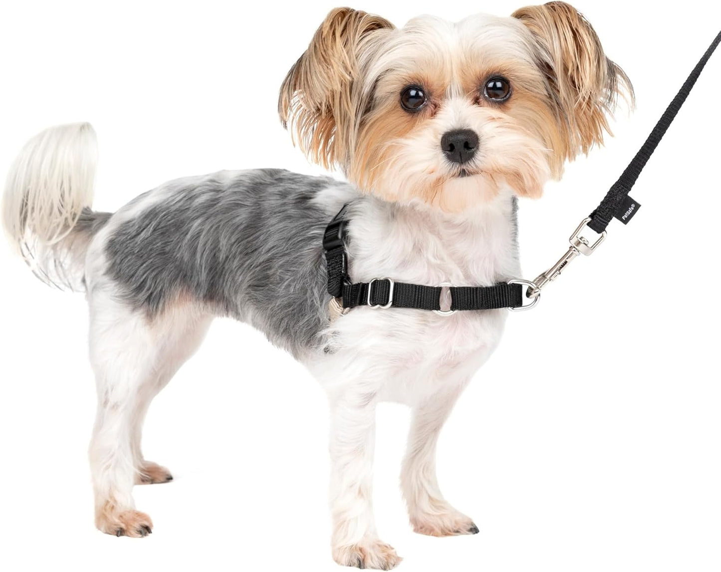 Easy Walk Harness