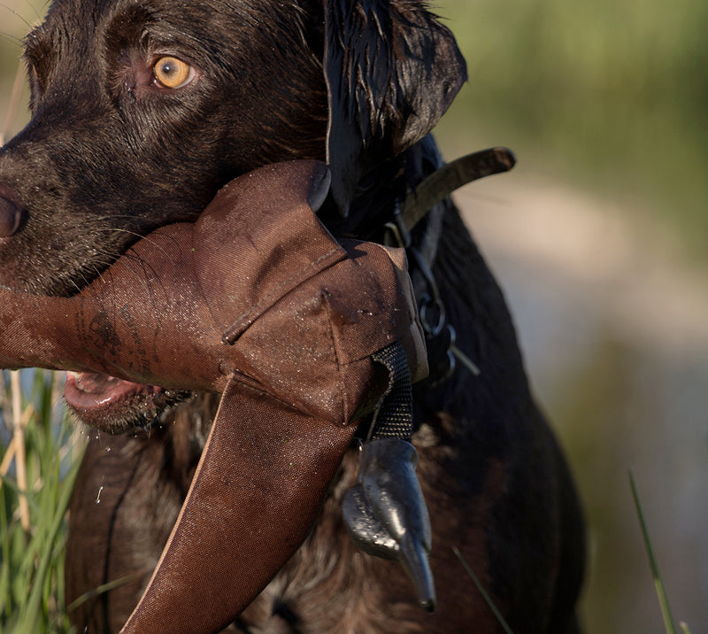 The Clone Launcher Bird—Brown & Tan