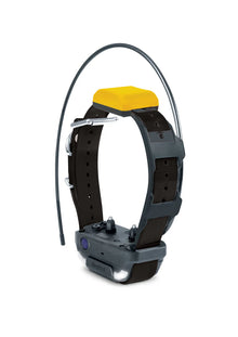 Pathfinder 2 Extra Collar (Path2)