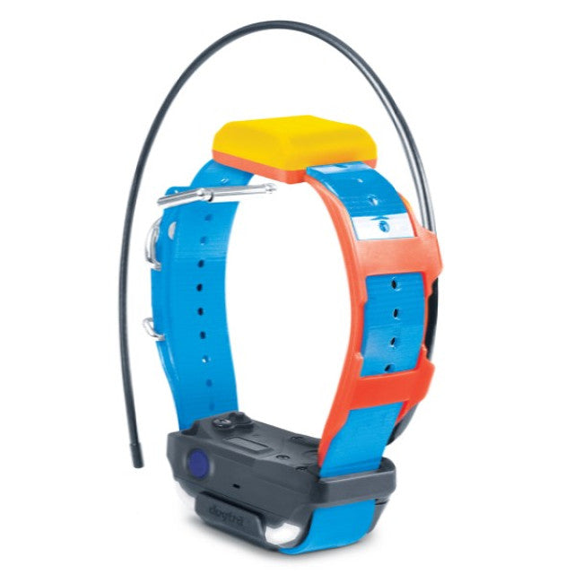 Pathfinder 2 Tracking Only Collar