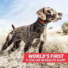 FieldSentinel™ FS-825 with BodyGuard Technology