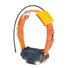 Pathfinder 2 Mini Tracking Only Collar
