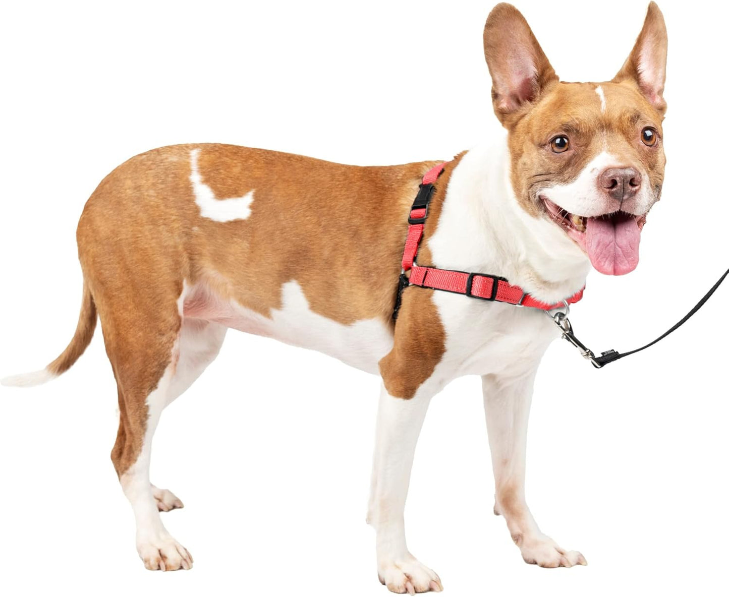 Deluxe Easy Walk