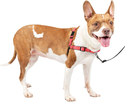 Deluxe Easy Walk