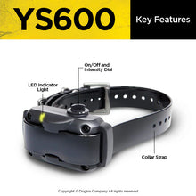 YS-600