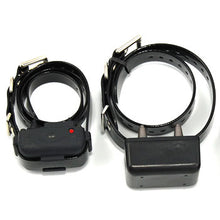 Dummy Collar