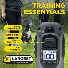 282X Remote Dog Trainer 2-Dog Unit