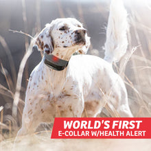 FieldSentinel™ FS-1825 with BodyGuard Technology