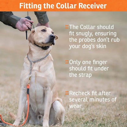UplandHunter A Series Add-A-Dog Collar