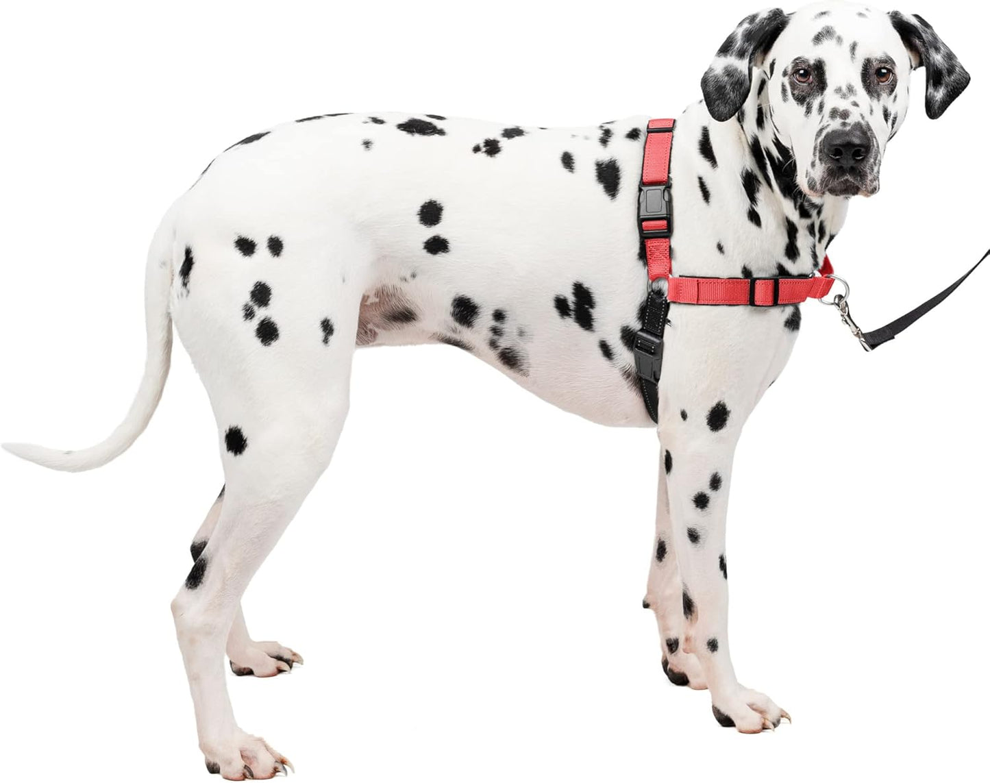 Deluxe Easy Walk