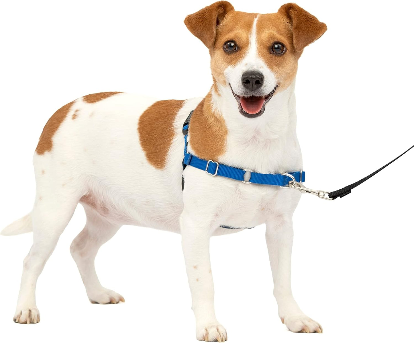 Easy Walk Harness