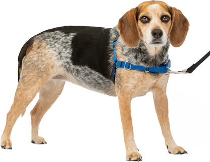 Easy Walk Harness