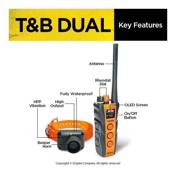 Dual Dial Train & Beep 1-Dog Unit