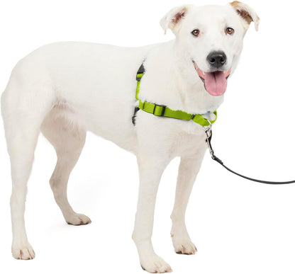Deluxe Easy Walk