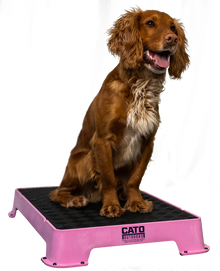 Cato Ourdoors Place Board