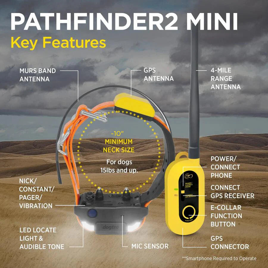 Pathfinder 2 Mini System