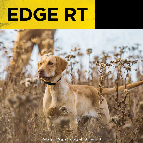 EDGE RT Expandable Dog Remote Trainer
