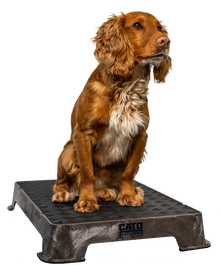 Cato Ourdoors Place Board