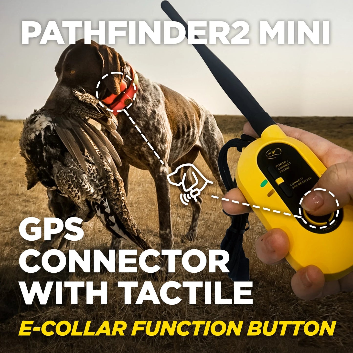 Pathfinder 2 Mini System
