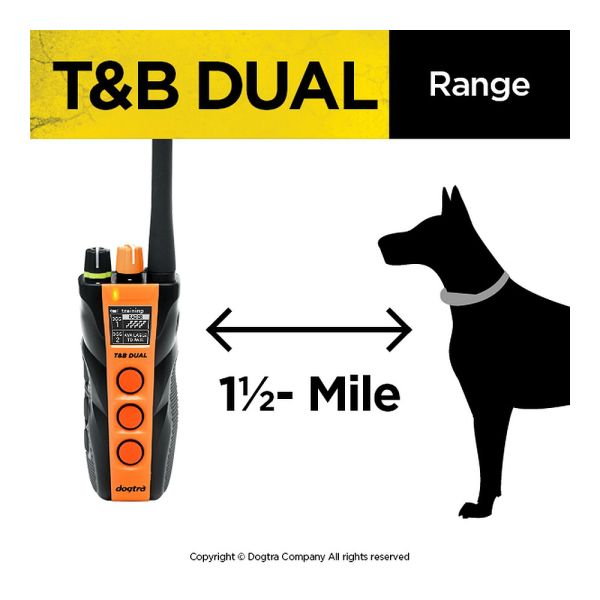 Dual Dial Train & Beep 1-Dog Unit