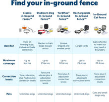 Stubborn Dog Radio Fence