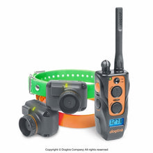 2702TB Training and Beeper Dog Remote Trainer 2-Dog Unit