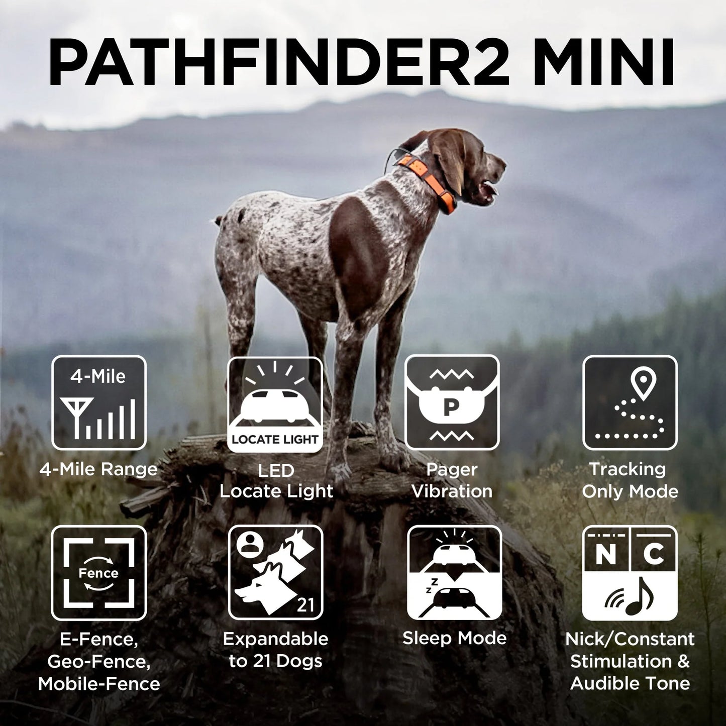 Pathfinder 2 Mini System
