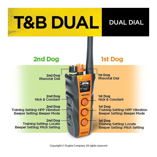 Dual Dial Train & Beep 1-Dog Unit