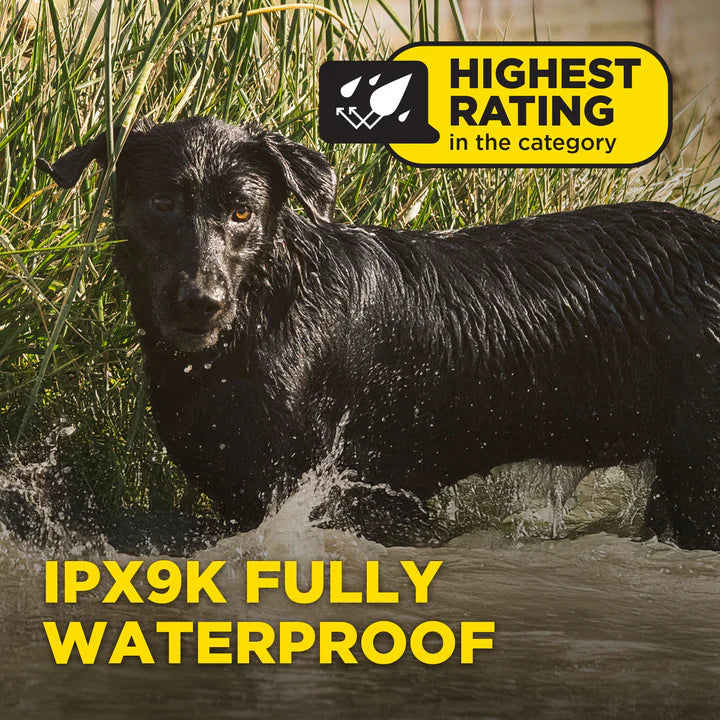 1900X Remote Dog Trainer 1-Dog Unit