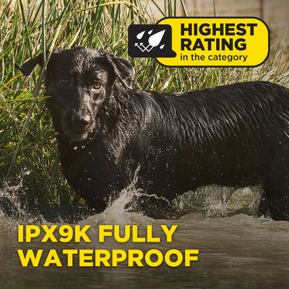 1900X Remote Dog Trainer 1-Dog Unit