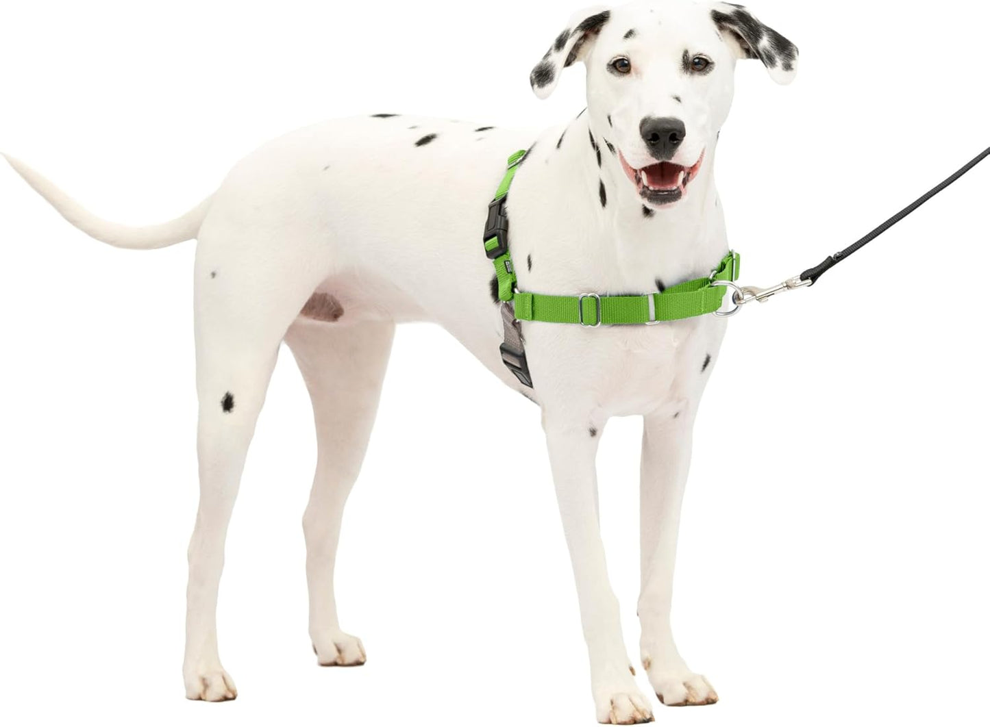 Easy Walk Harness