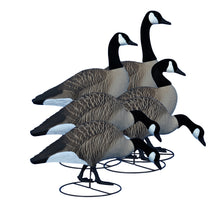 Alpha Magnum Full-Body Variety Pack, Canada , Flocked Heads (6pk)