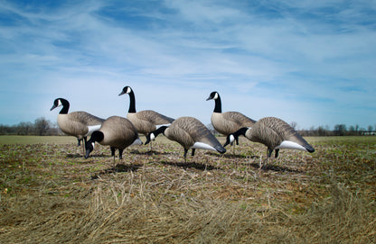 Alpha Magnum Full-Body Variety Pack, Canada , Flocked Heads (6pk)