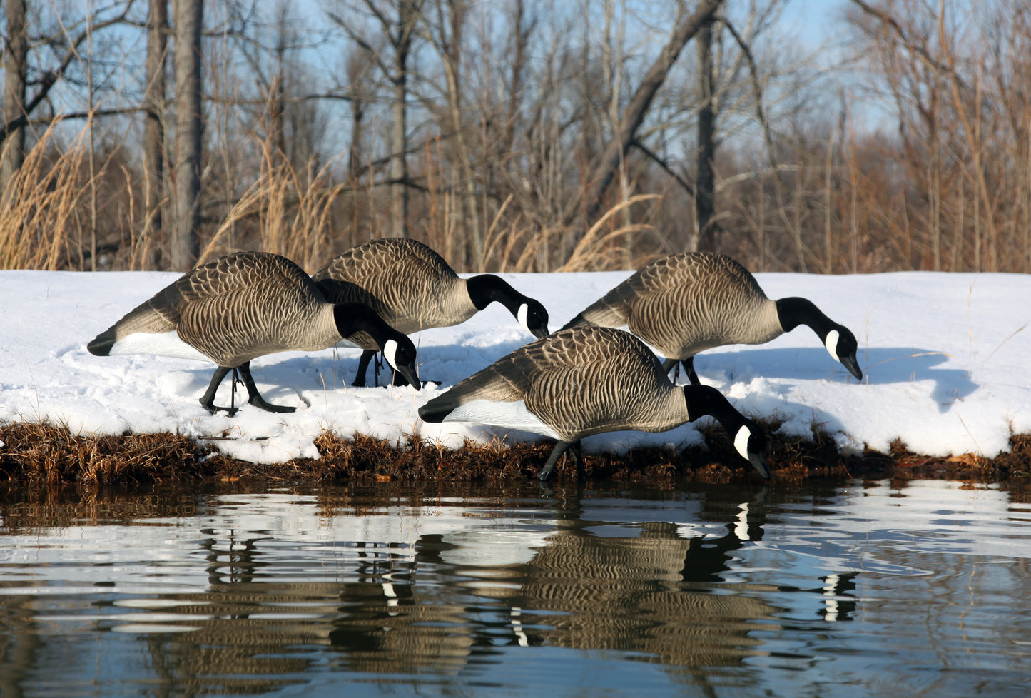 Alpha Magnum Full-Body Variety Pack, Canada , Flocked Heads (6pk)