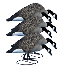 Alpha Magnum Full-Body Variety Pack, Canada , Flocked Heads (6pk)