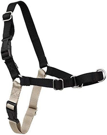 Easy Walk Harness