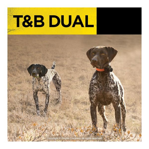 Dual Dial Train & Beep 1-Dog Unit