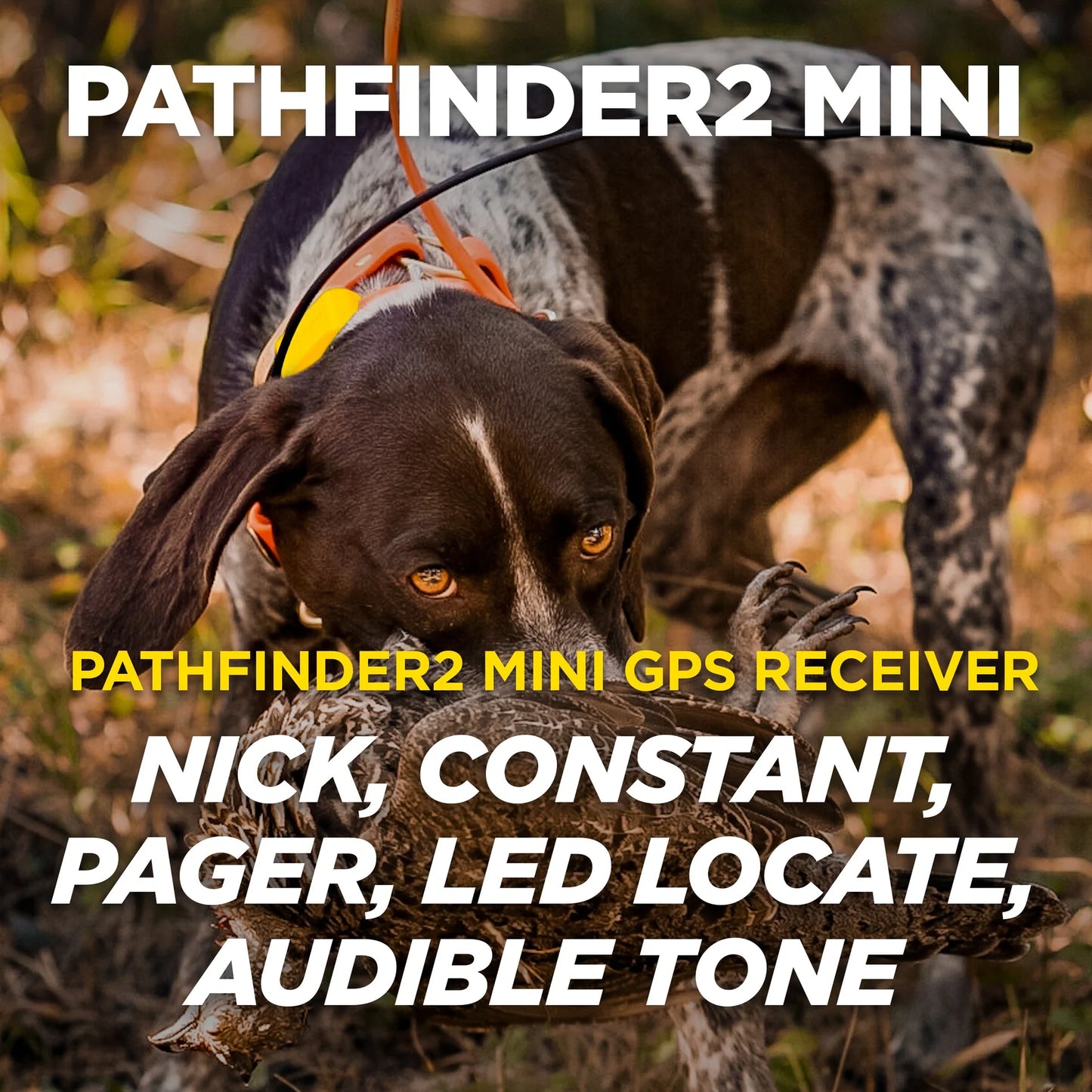 Pathfinder 2 Mini System
