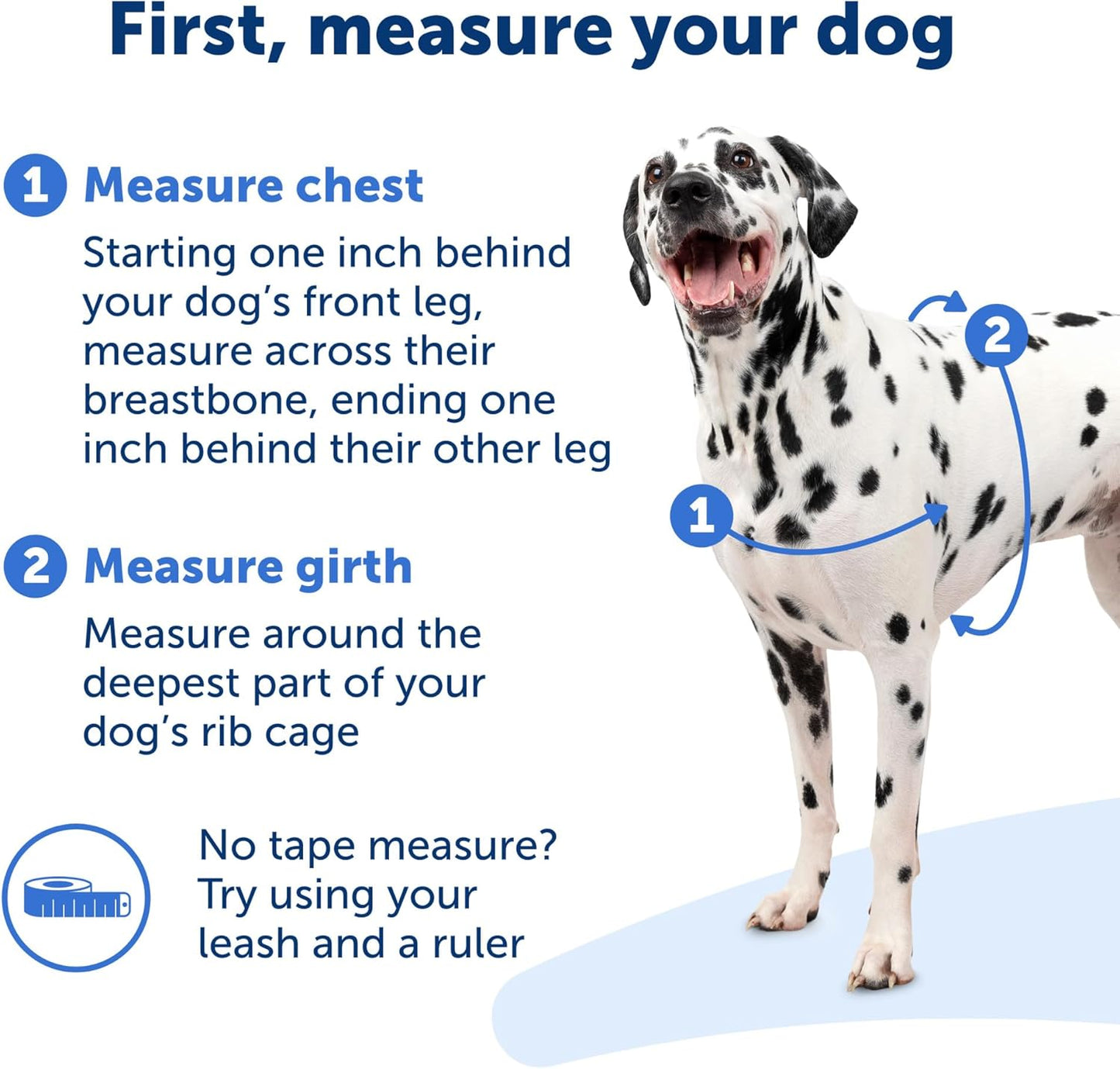 Deluxe Easy Walk