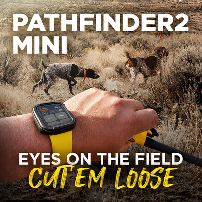 Pathfinder 2 Mini System