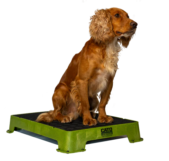 Cato Place Board with Rubber Surface