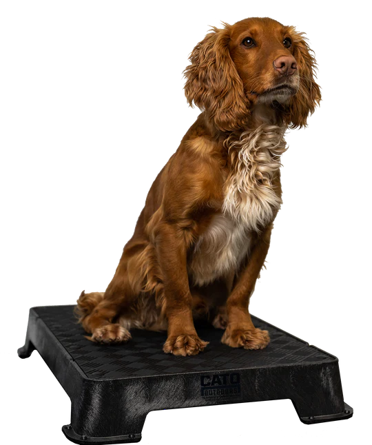 Cato Place Board with Rubber Surface